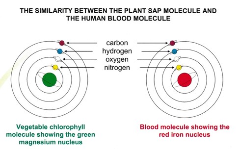 Molecules